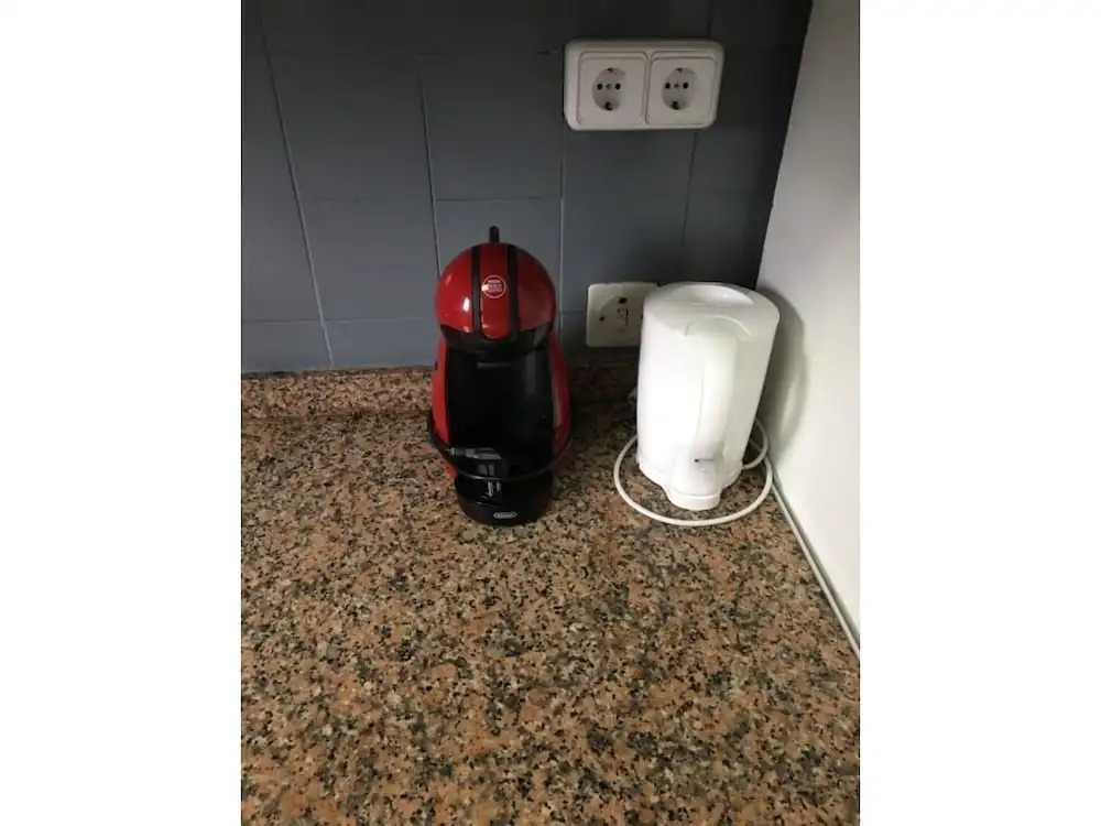 Tulipan 2