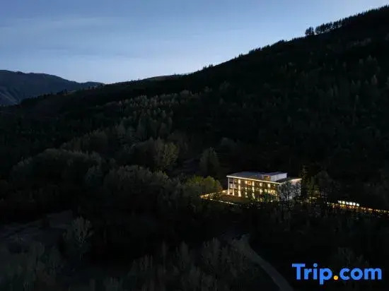 Wutai Mountain Hemlock Forest Homestay