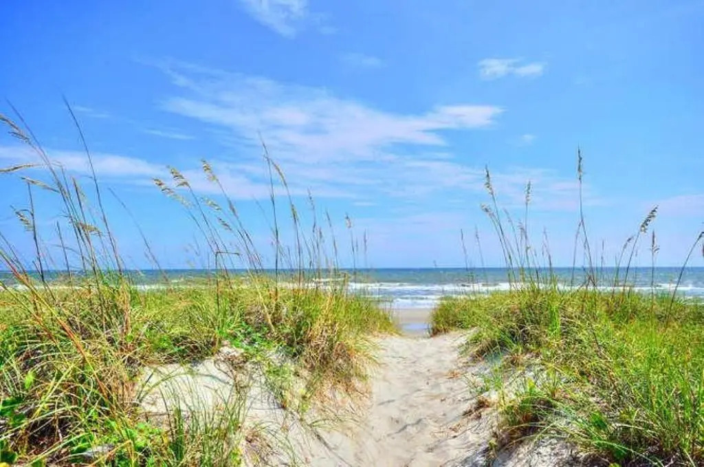 A Paradise Found