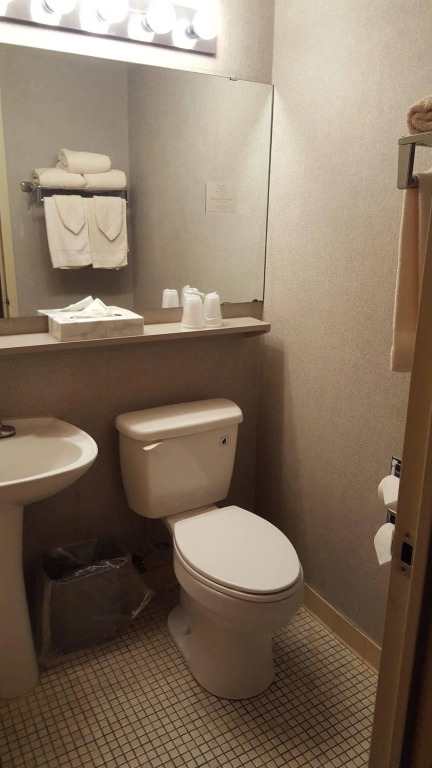 Hibbing Park Hotel & Suites