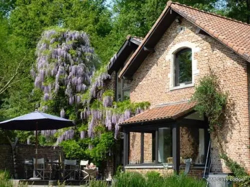 Cosy Lodge