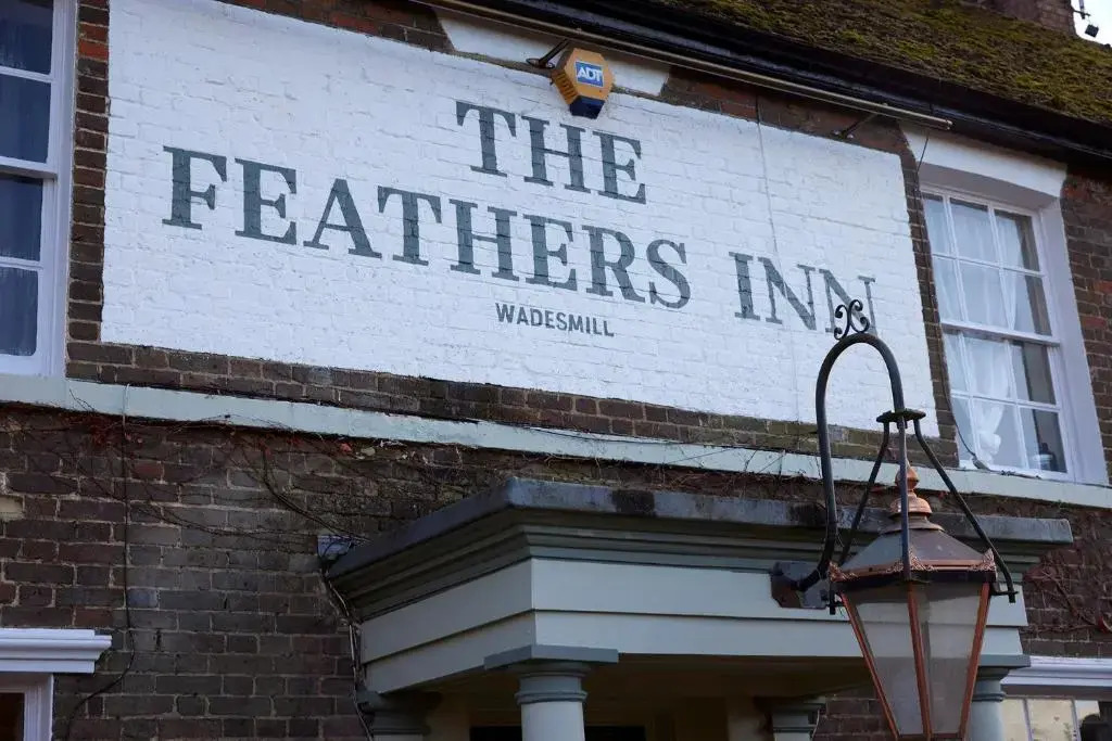 Feathers by Chef & Brewer Collection