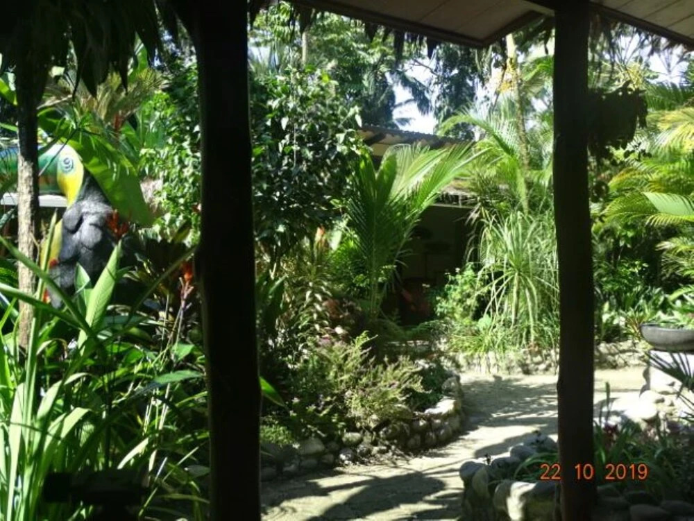 Casa Caribbean Coconut