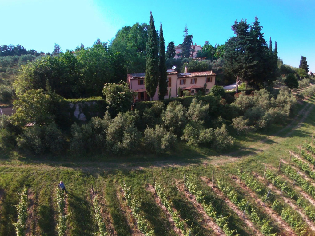 Beautiful Farmhouse in Montecarotto with Private Terrace
