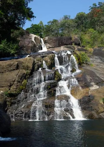Bio Veda Ayurvedic Hill resort