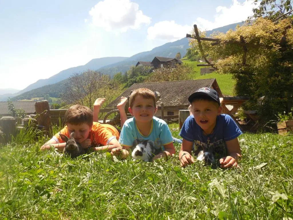 Schweiggerhof -Agriturismo- Farm Holidays