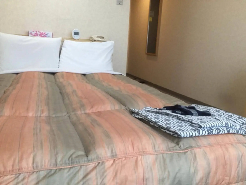 HOTEL MYSTAYS Kumamoto Riverside