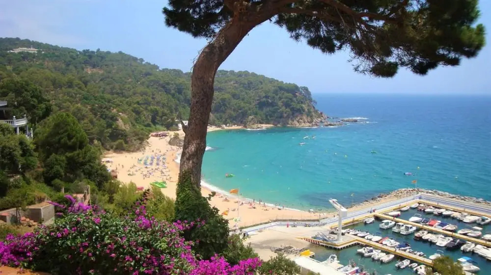 107517 - Apartment in Lloret de Mar