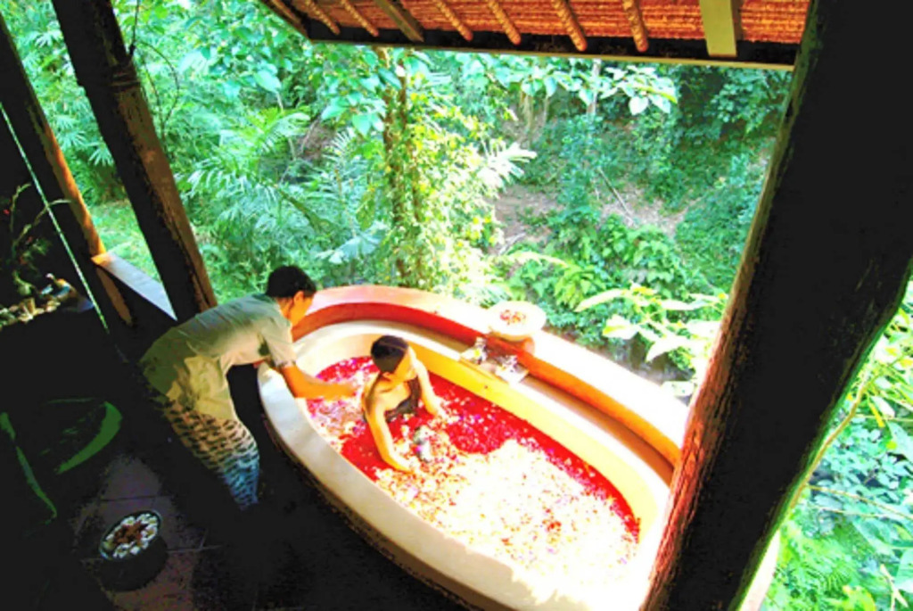 Natura Resort and Spa