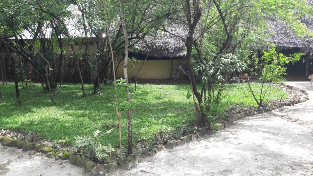 Swahili Divers & Gecko Nature Lodge