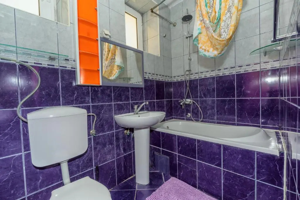 Waterfront Apartment Petrovina