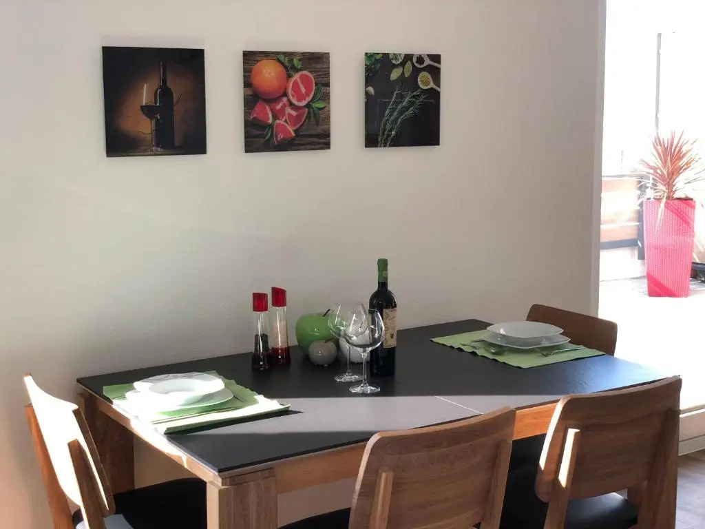 A&N Prestige Apartments "Attika" close to BASEL and Rhine river
