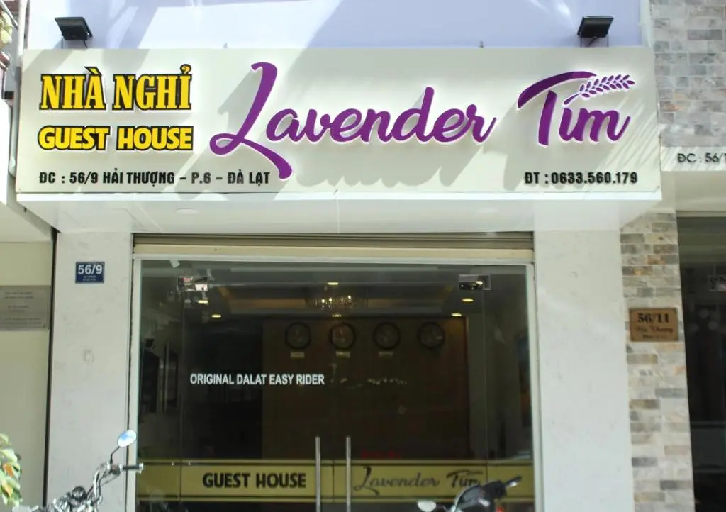 Lavender Tim