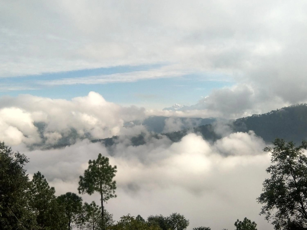 Sharda Stays Binsar Himalayas