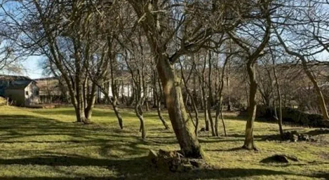 Low House Haven