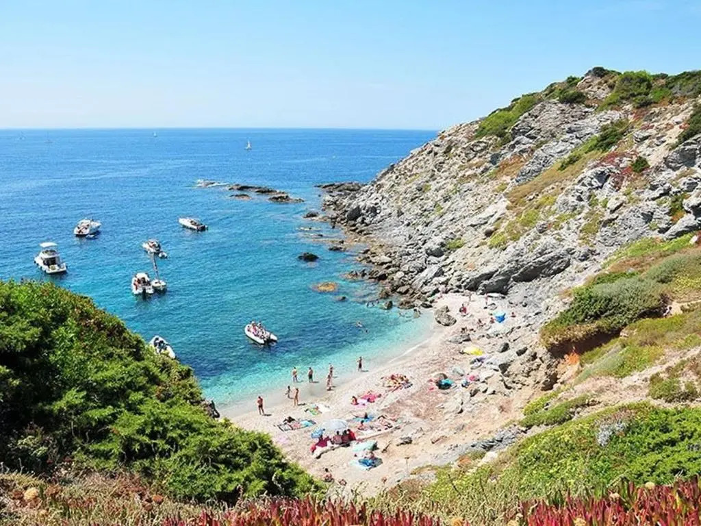 Appartement Six-Fours-les-Plages, 3 pièces, 4 personnes - FR-1-316-230