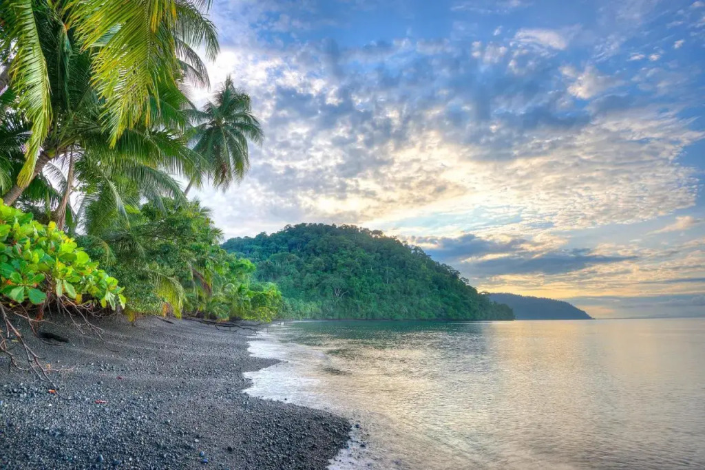 Playa Nicuesa Rainforest Eco Sanctuary