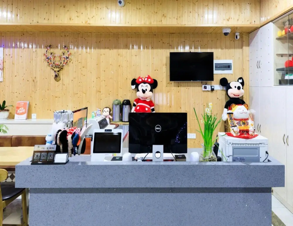 Fu Yin Su Disneyland Pudong Airport