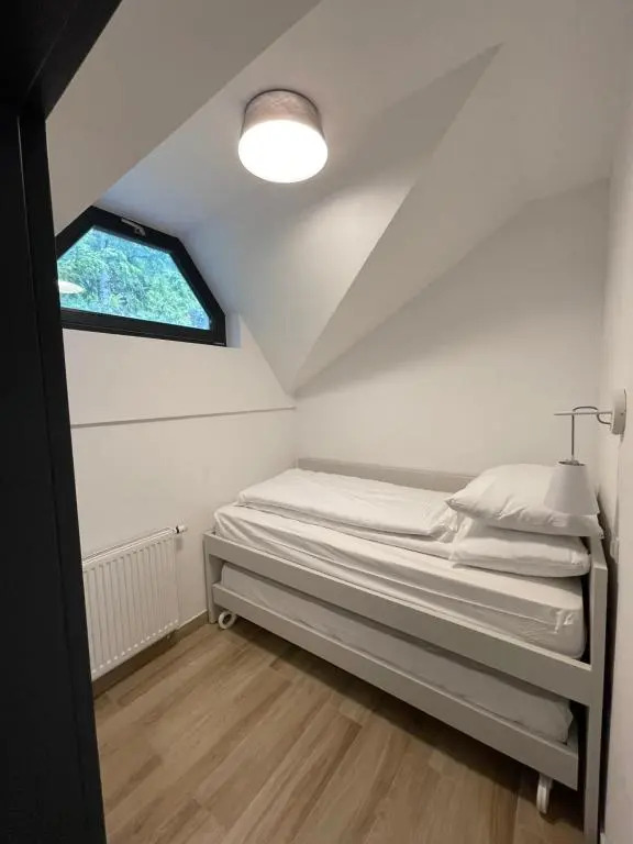 Golte - A2 Apartment - ski in/Out