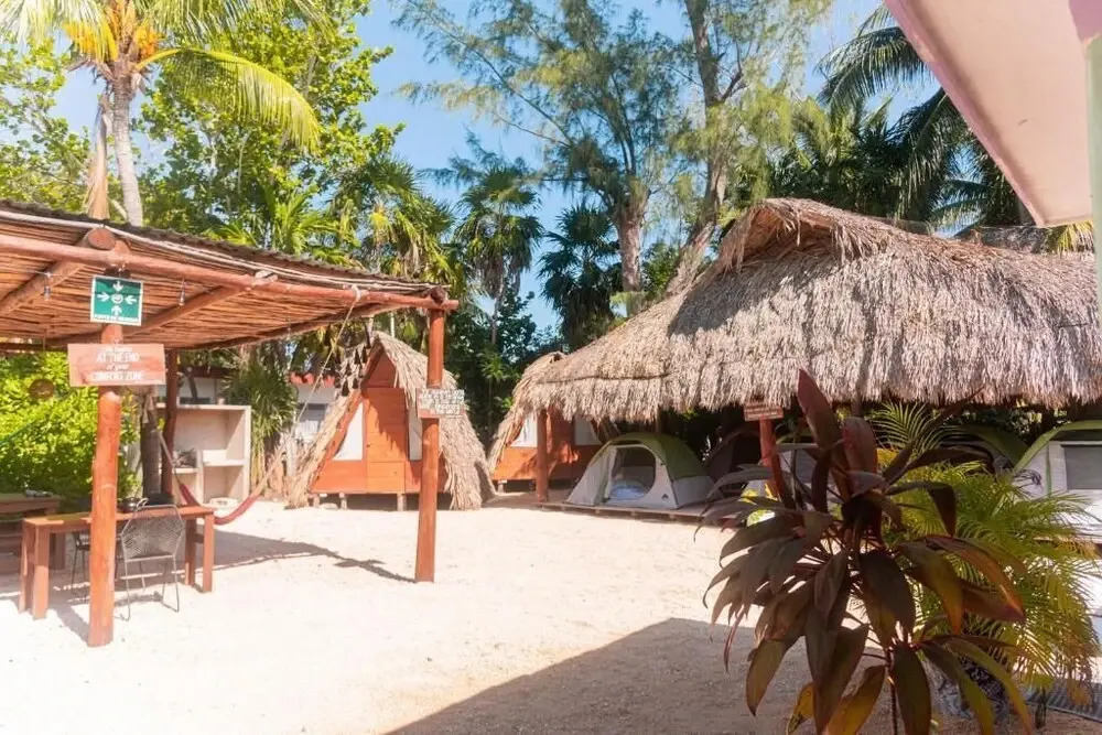 Mapache Hostel & Camping