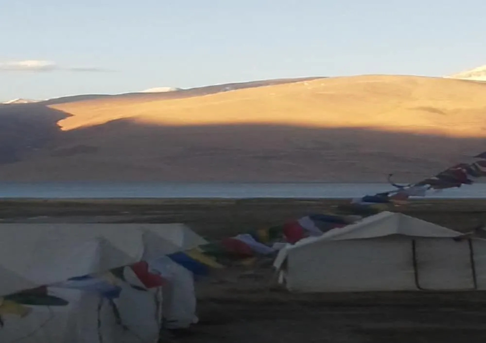 Golden Mark Camp