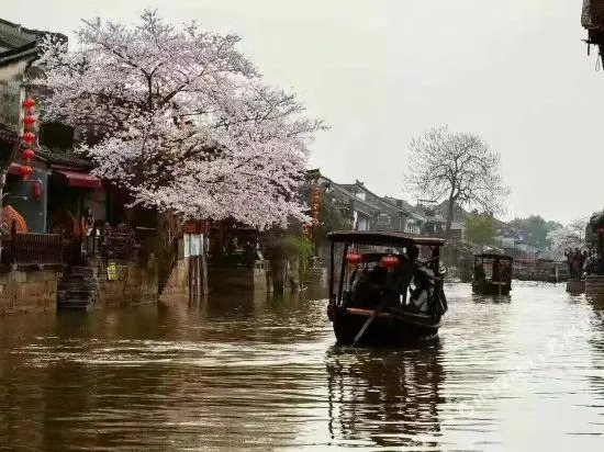 Jiuqi · Xitang Liu Family Courtyard Boutique Homestay