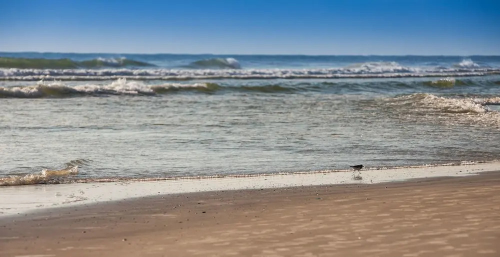 The Salty Mermaid Oceanfront Hotel
