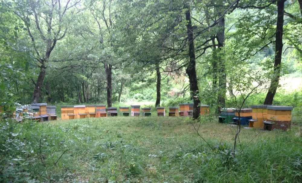 B&B Maretti Marco