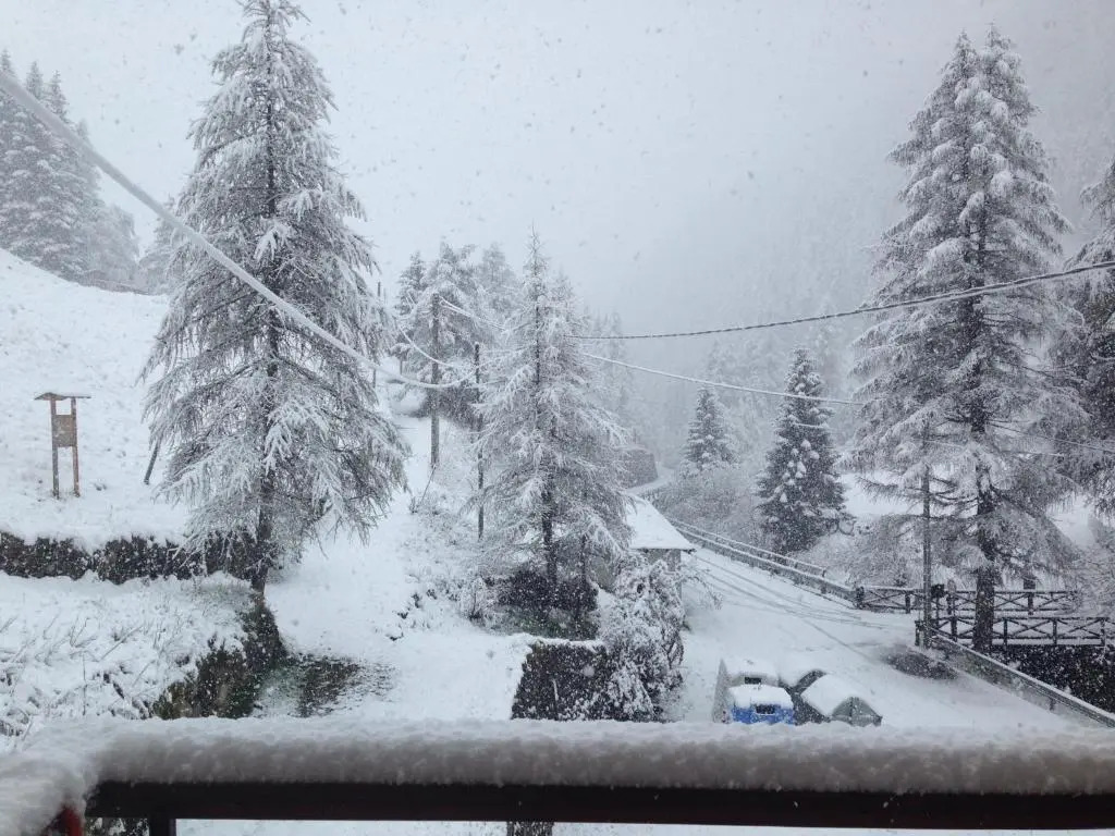 Appartamento Ponte di Legno - Parco dello Stelvio