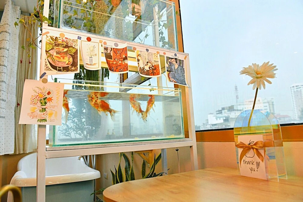 Langmandi luxury apartment