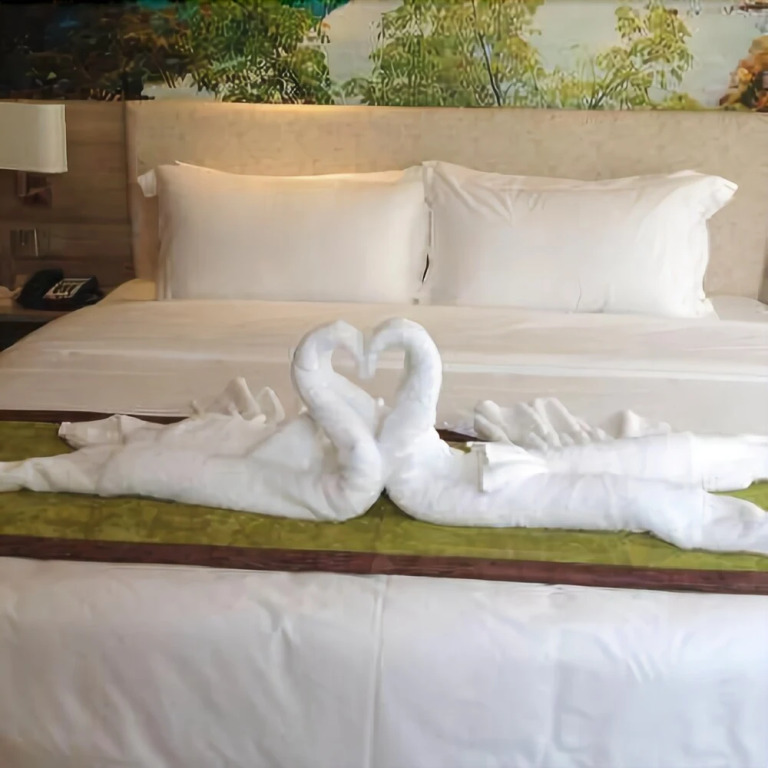 Manso Hotel