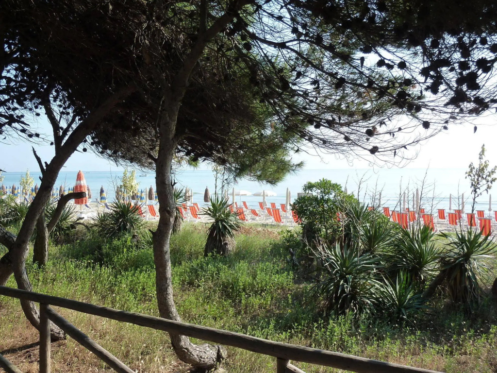 Pineto Vacanza