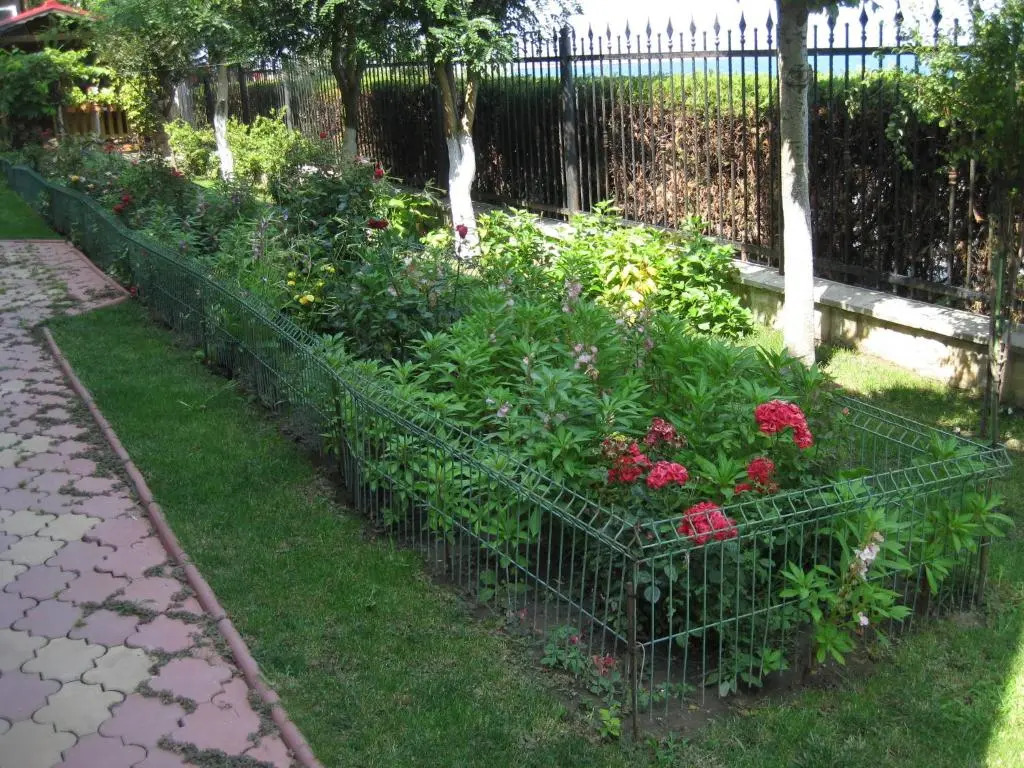Vila V3