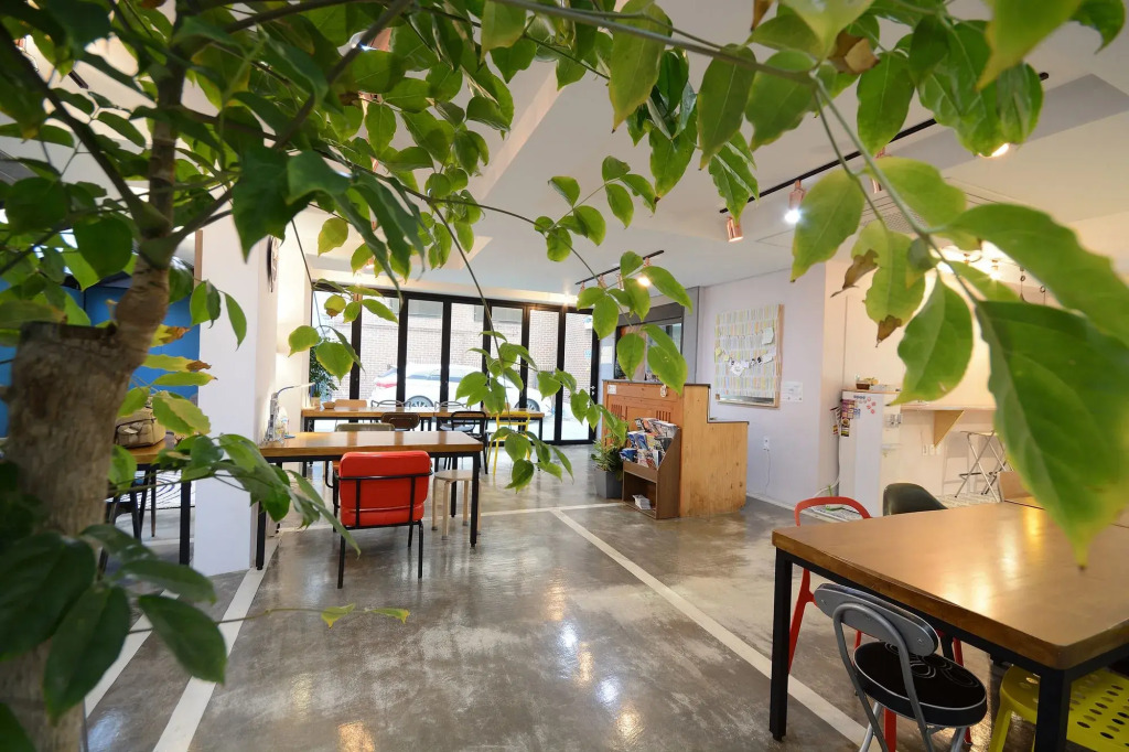 Sunnyhill Hostel Hongdae