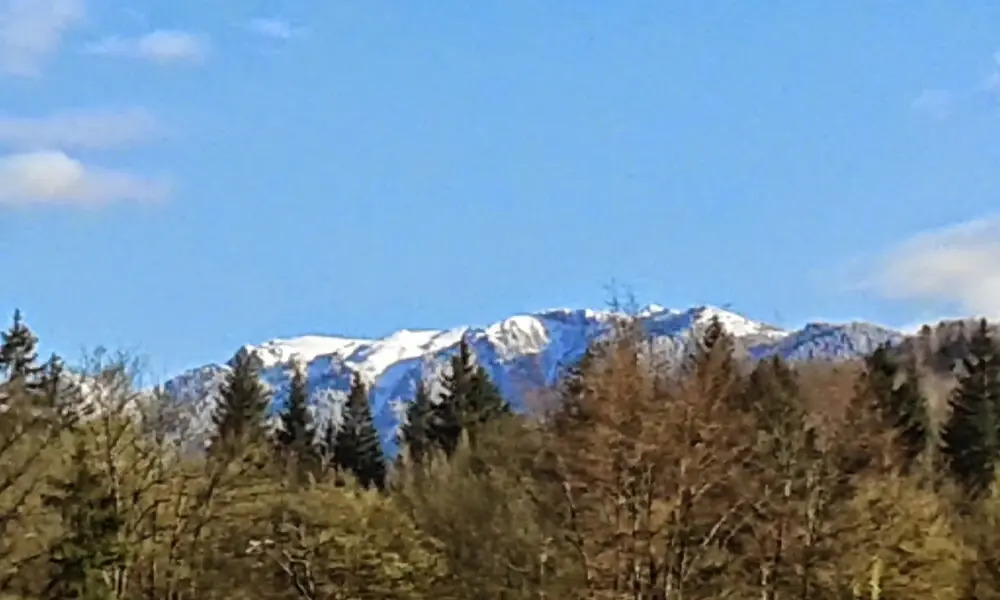 Dumbrava Soarelui