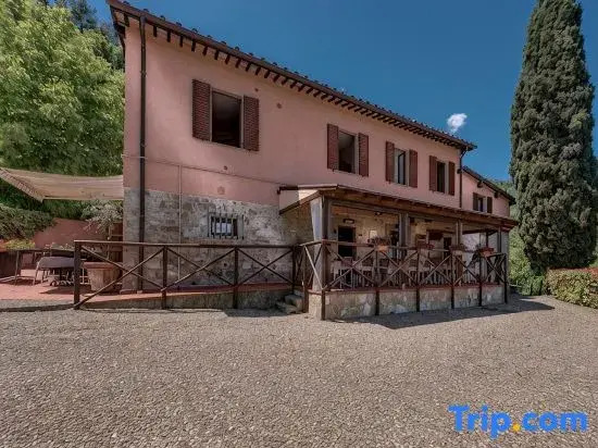 Private Country House with swimming pool -Chianti