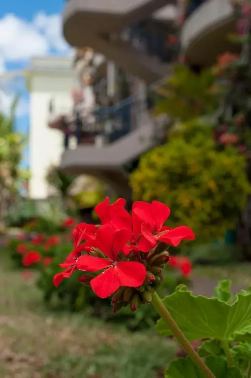 Lharmonie Villa