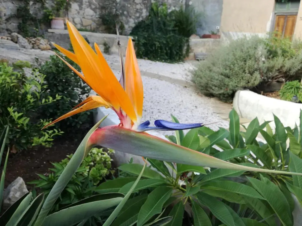 Casa Vacanze Sidda