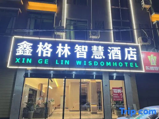 Xingelin Wisdom Hotel (Haikou Lin'an International Trade City)