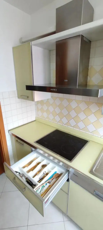 Apartment Vlado