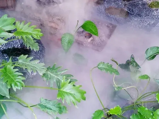 West Lake Time Su Guesthouse