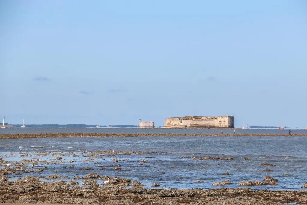 LAuthentique - Situé en face des thermes et tout proche du coeur de ville