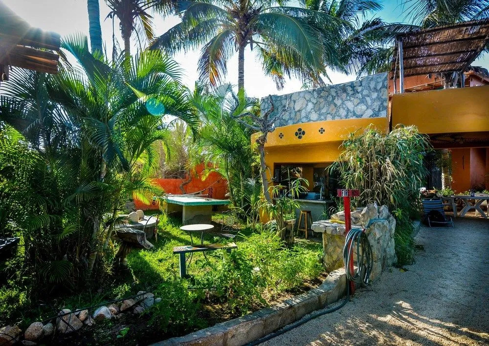 Palapas