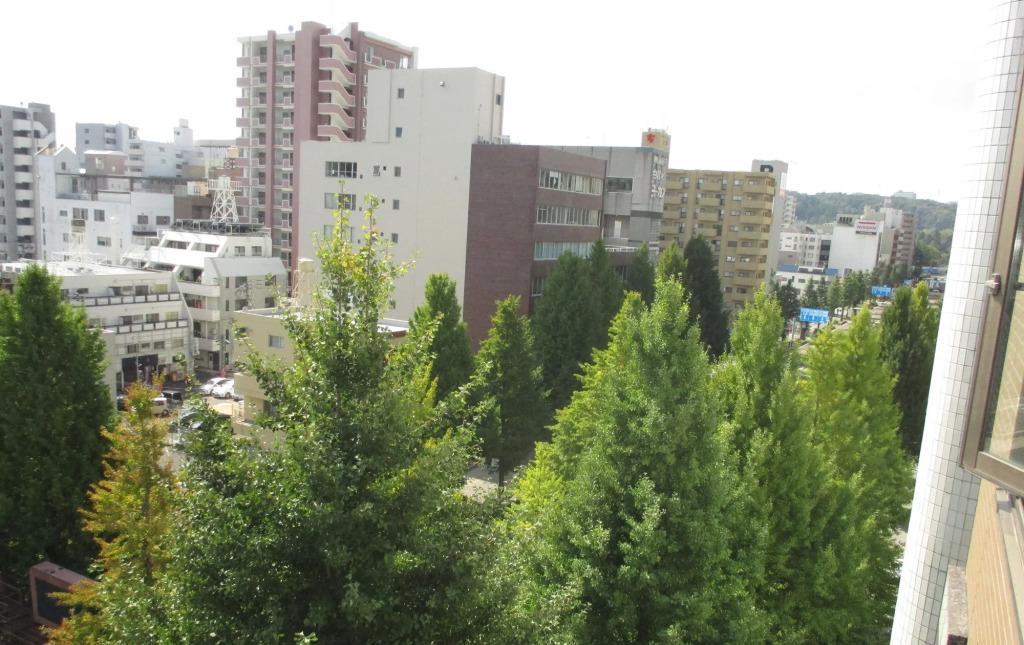 Hotel Green With