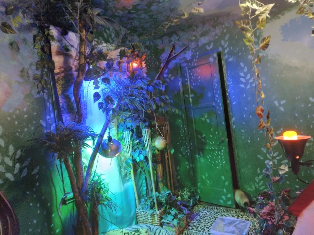 Earthovision Manor