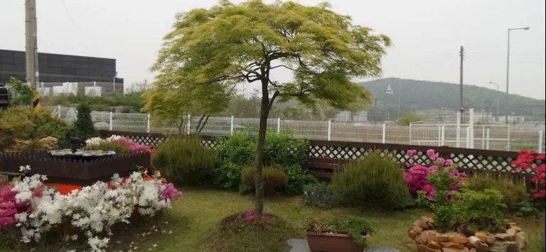 Ayami Guest house