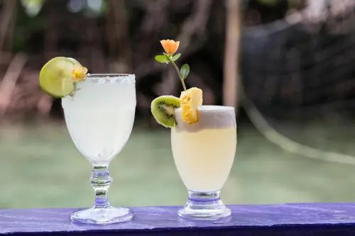 Urraca Monkey Island Eco Resort