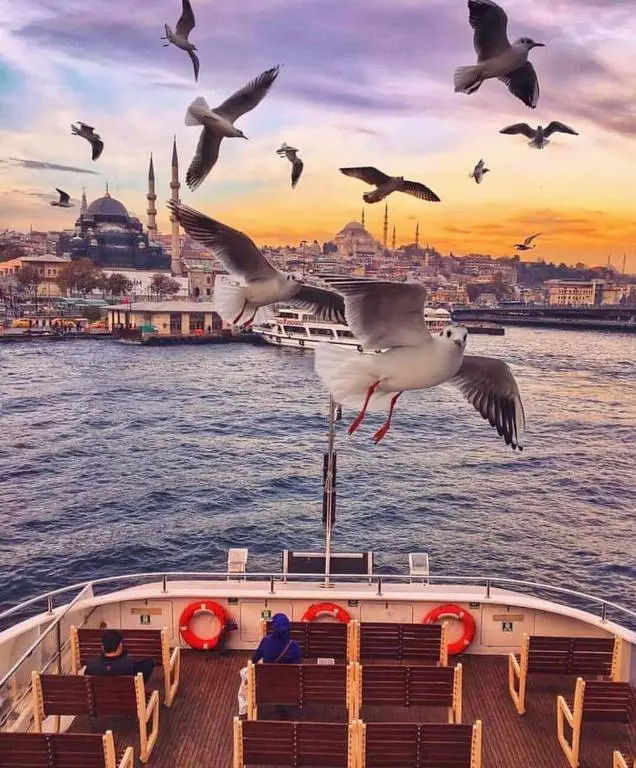 Kadıköy Studio Flat