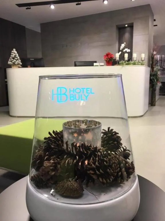 Hotel Buly Opava
