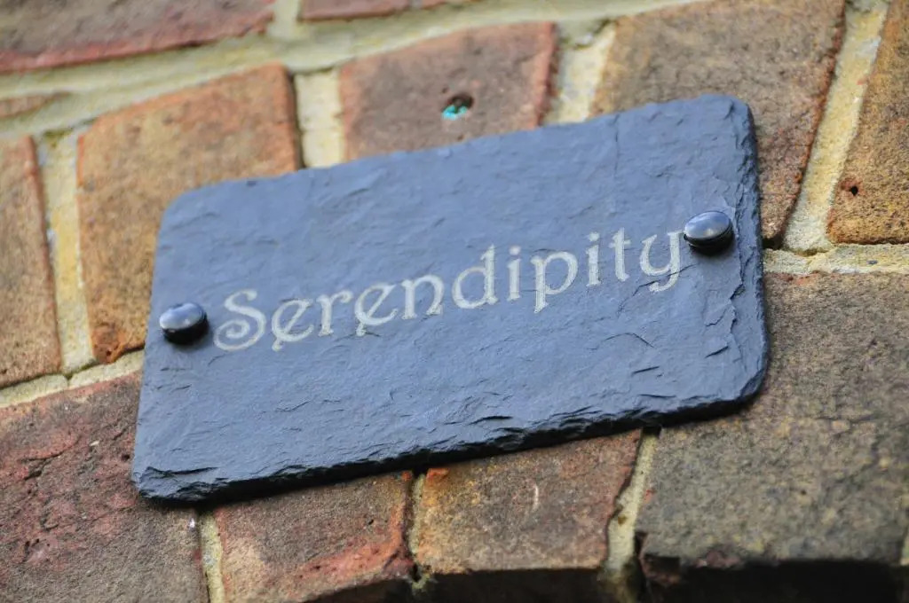 Serendipity